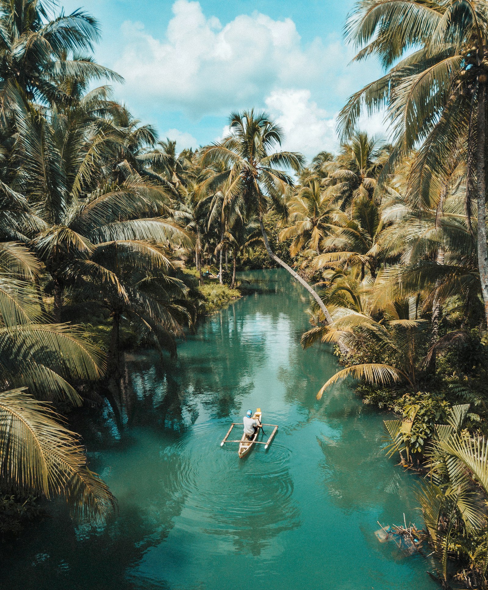 Aerial view of Borneo tropical rainforest
